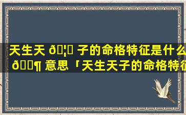 天生天 🦉 子的命格特征是什么 🐶 意思「天生天子的命格特征是什么意思啊」